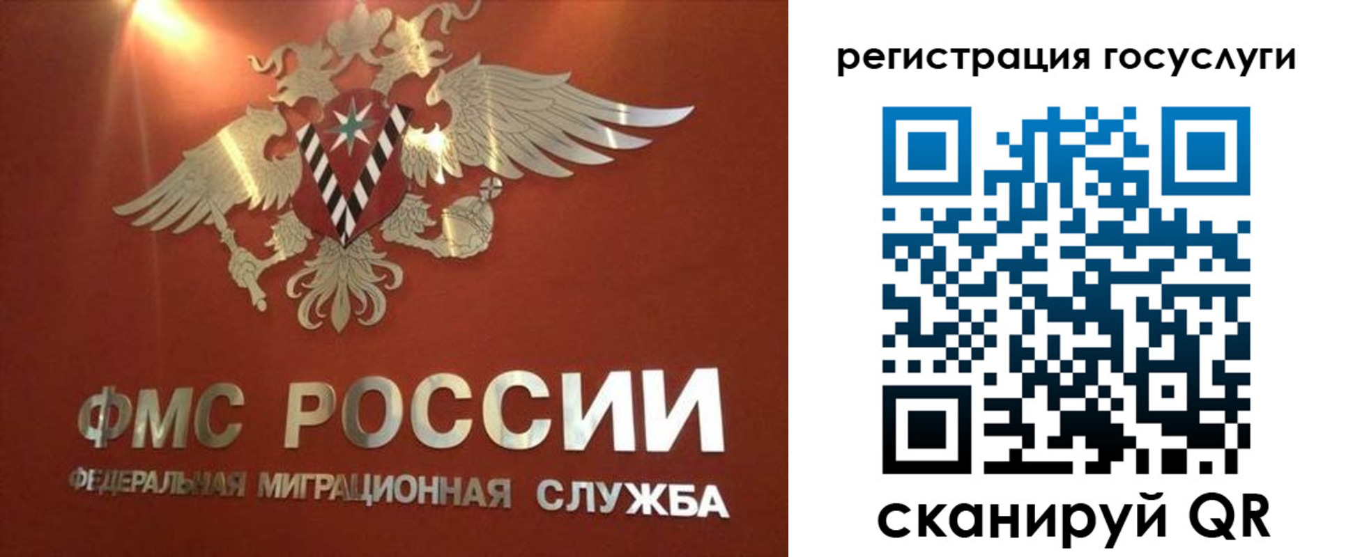 прописка ребенка в Камешково
